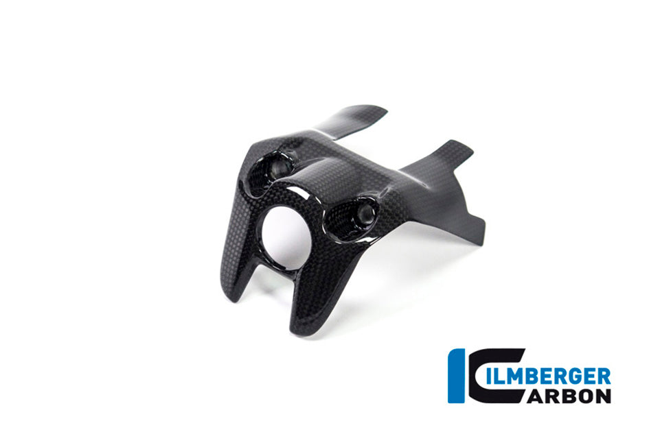 Ilmberger Carbon Ignition Switch Cover - Gloss Finish – Ducati Monster 1200 / S 2017–2021