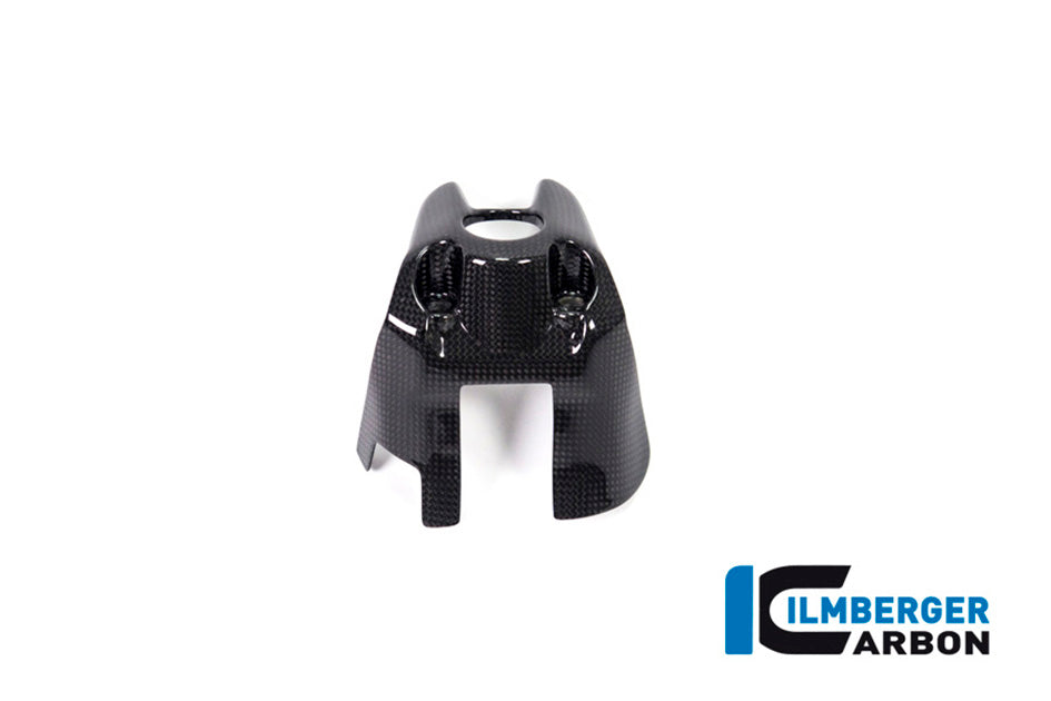Ilmberger Carbon Ignition Switch Cover - Gloss Finish – Ducati Monster 1200 / S 2017–2021