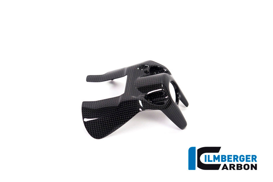 Ilmberger Carbon Ignition Switch Cover - Gloss Finish – Ducati Monster 1200 / S 2017–2021