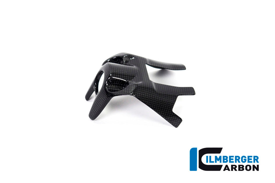 Ilmberger Carbon Ignition Switch Cover - Gloss Finish – Ducati Monster 1200 / S 2017–2021