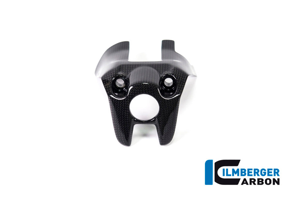 Ilmberger Carbon Ignition Switch Cover - Gloss Finish – Ducati Monster 1200 / S 2017–2021