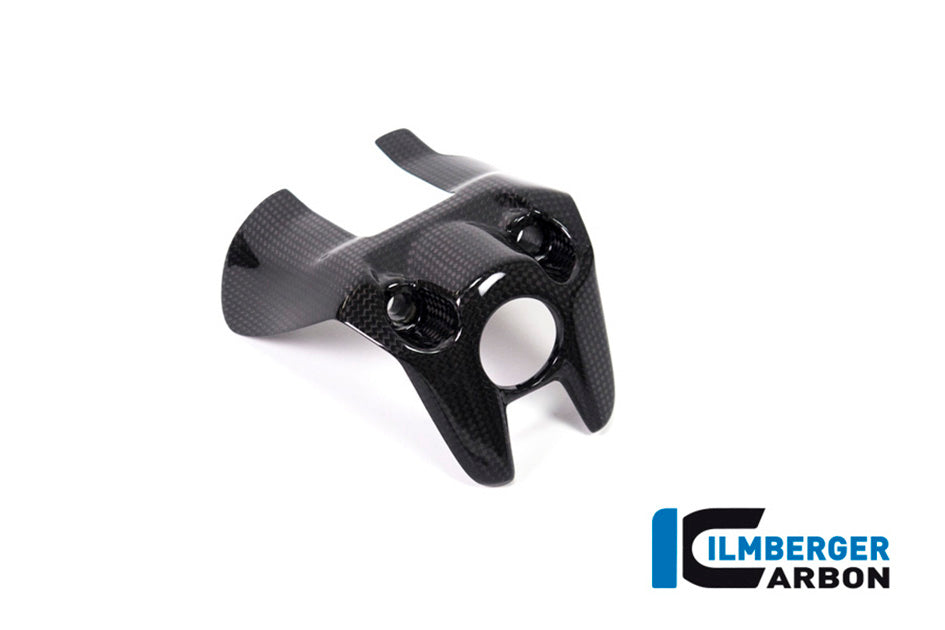 Ilmberger Carbon Ignition Switch Cover - Gloss Finish – Ducati Monster 1200 / S 2017–2021