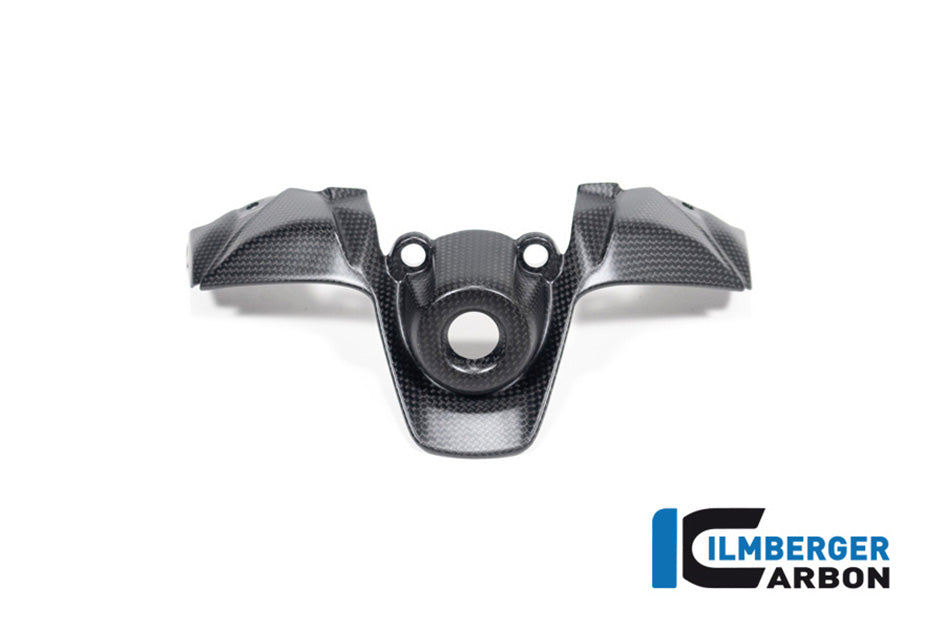 Ilmberger Carbon Ignition Switch Cover (Matt Finish)
