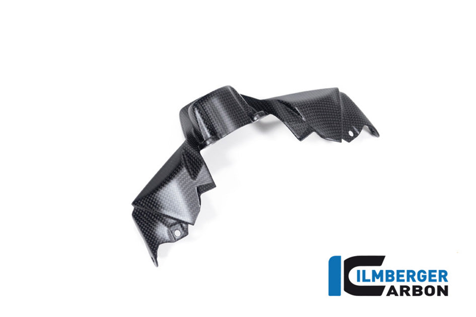 Ilmberger Carbon Ignition Switch Cover (Matt Finish)